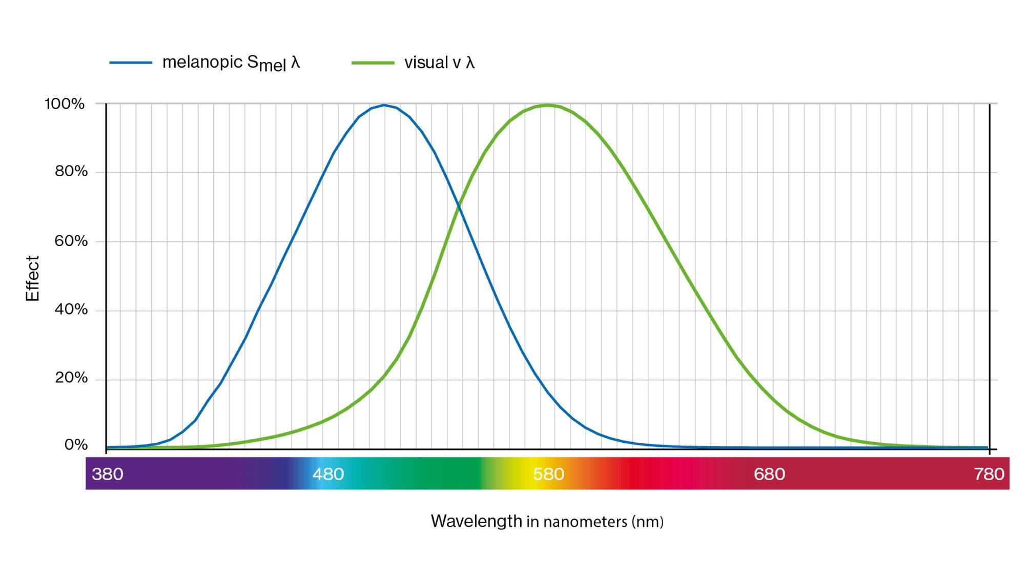 Effect and correction factors for biologically effective lighting